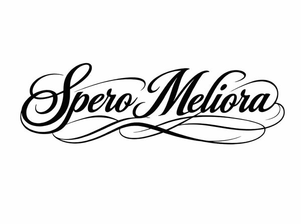 Spero Meliora 